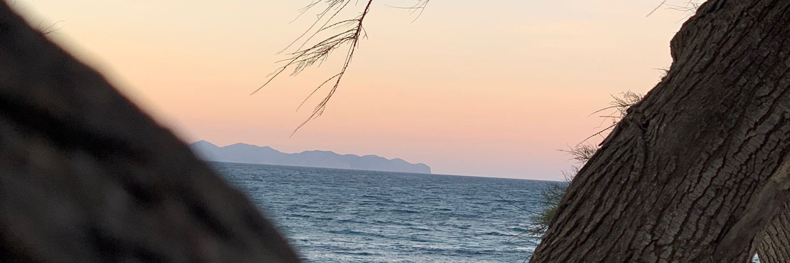 bixitoj's profile banner image
