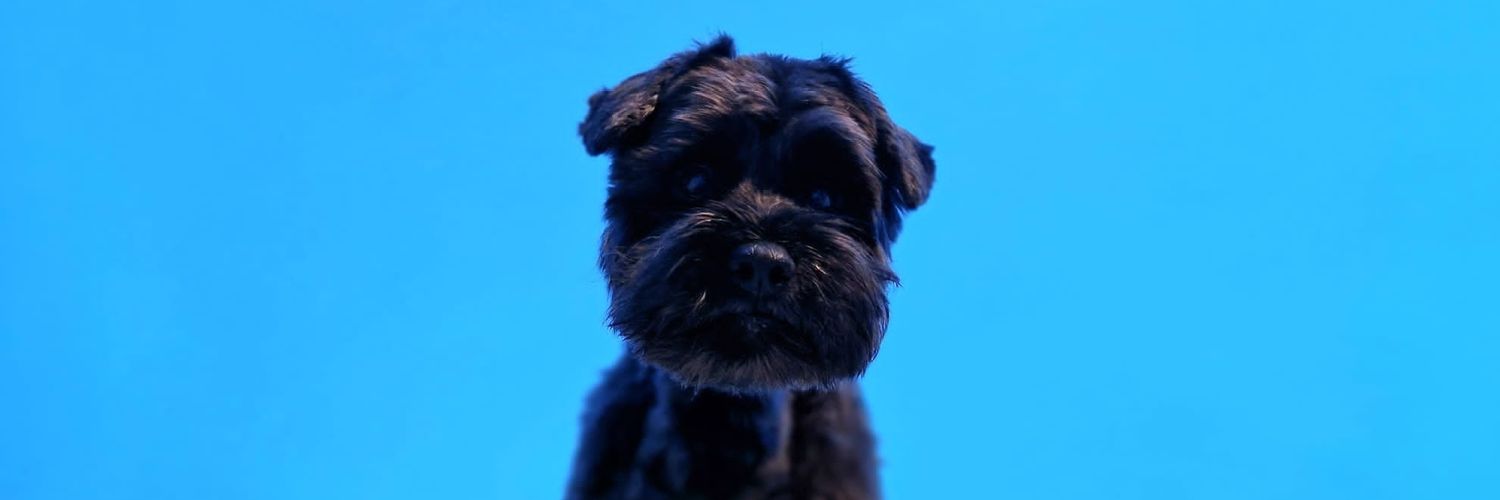 nsimpson95's profile banner image