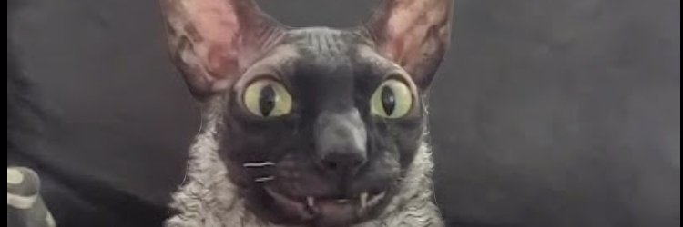 jack_exist's profile banner image