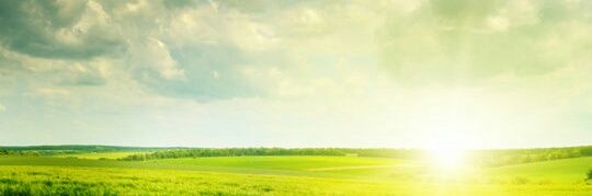 Stefan Johansson 🇸🇪🇺🇦🇺🇸⛄ banner