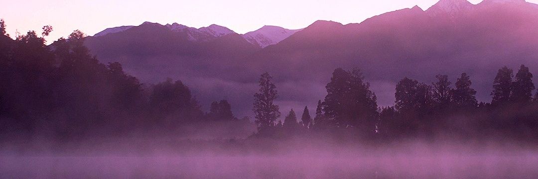 GustavC84's profile banner image