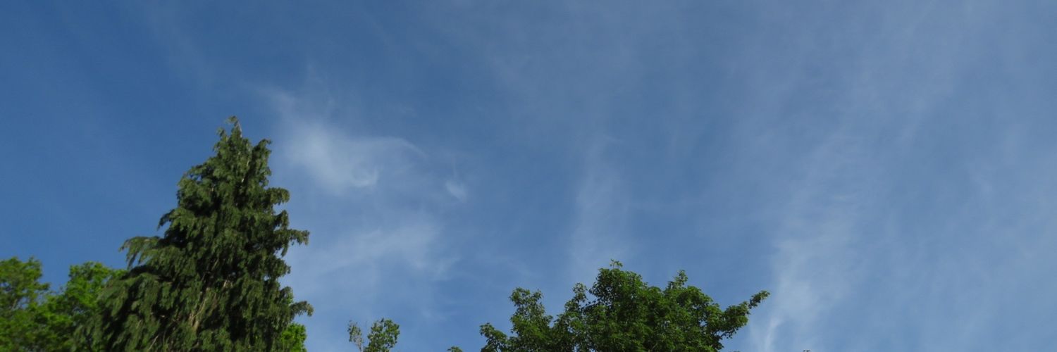 MohammedMay220's profile banner image