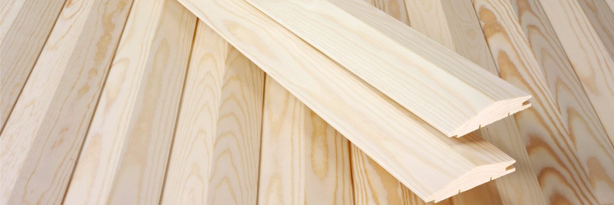 Beaver_nemaster's profile banner image