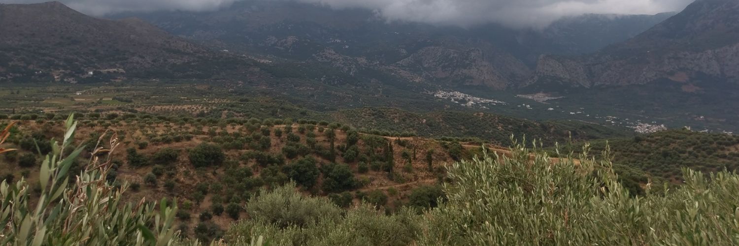 HendZeD's profile banner image