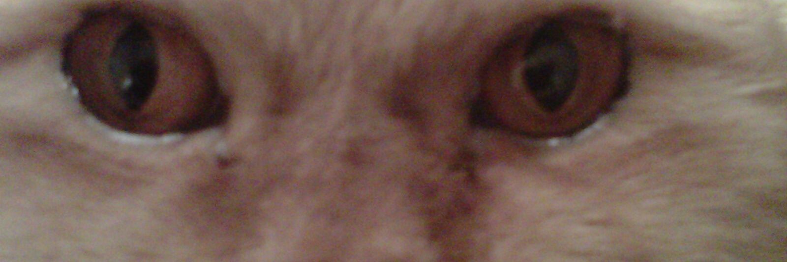 hdevis's profile banner image