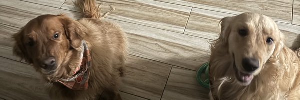 Big_Daddy_R Profile Banner