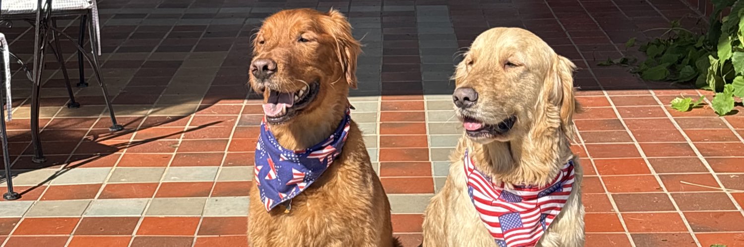 Rocky Miyares banner