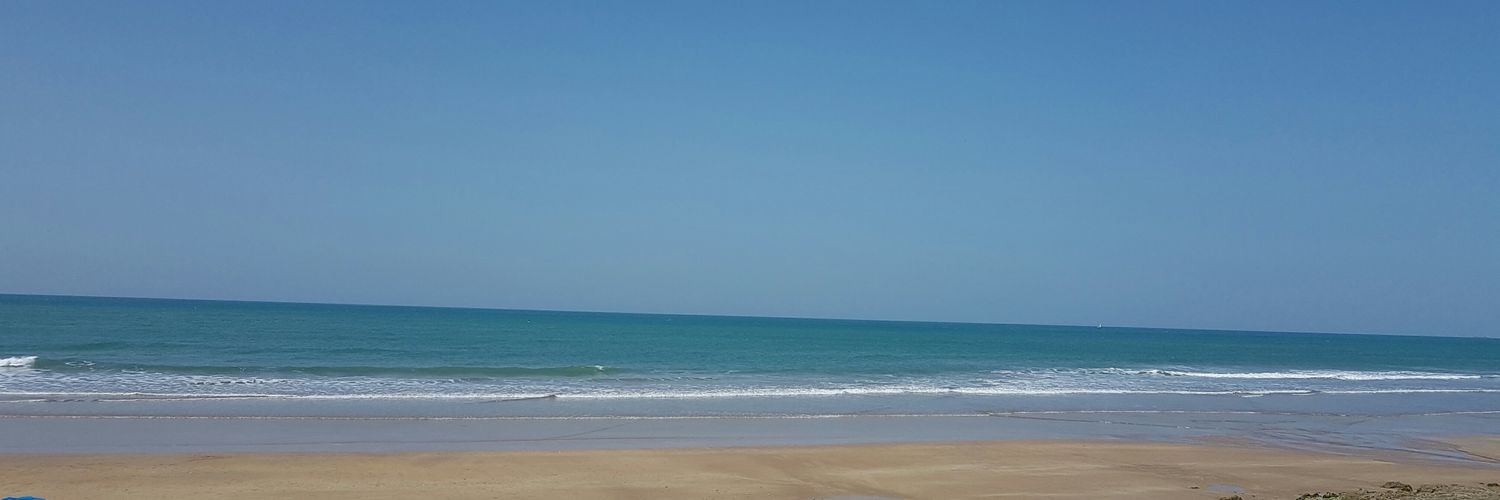 Coral Larrosa banner