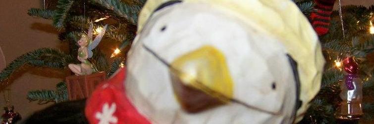 TheStructuredDev banner