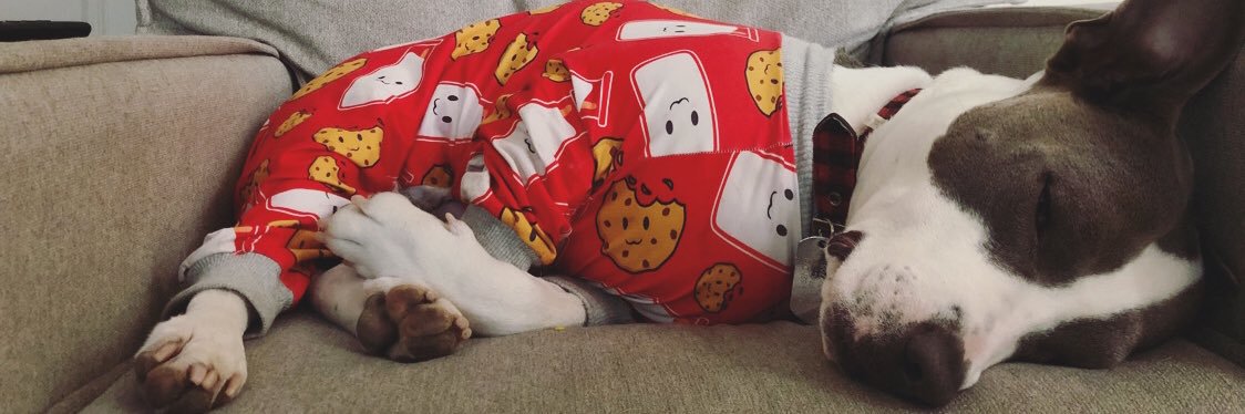 rachcee_'s profile banner image
