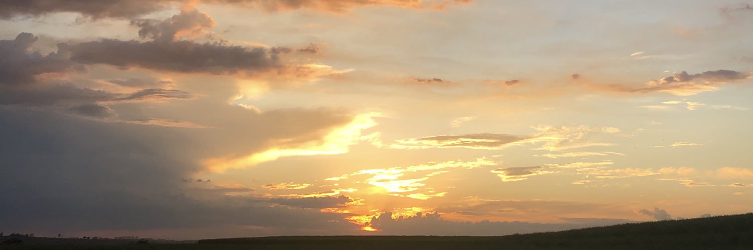 jollibruna's profile banner image