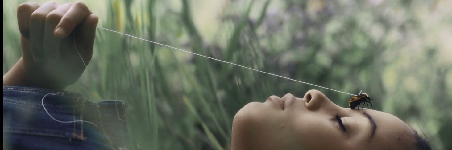 Austin Stark banner