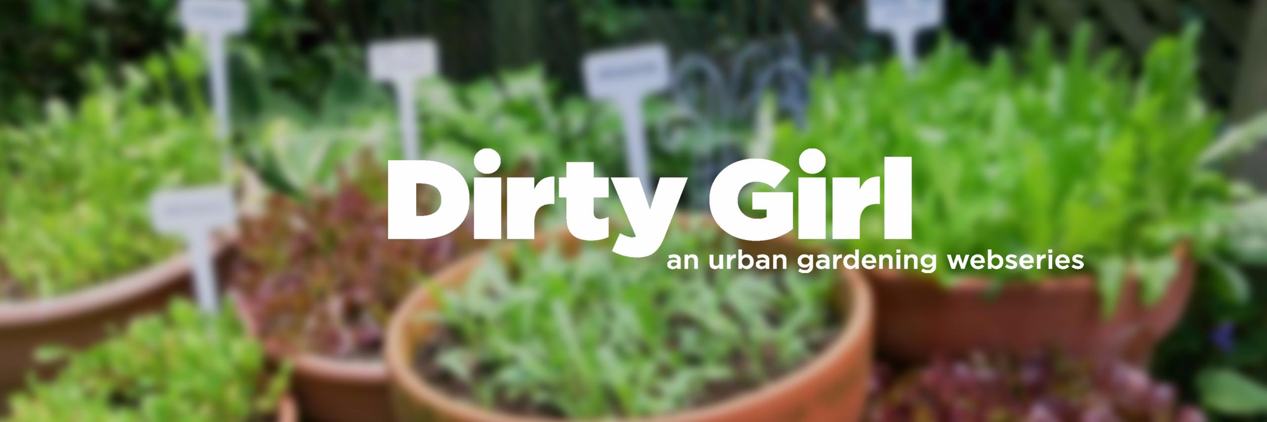 DirtyGirlWeb's profile banner image