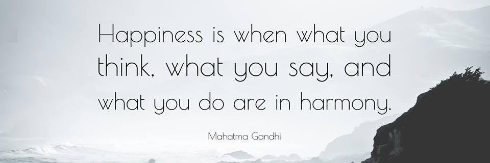 Hà Chí Vương banner