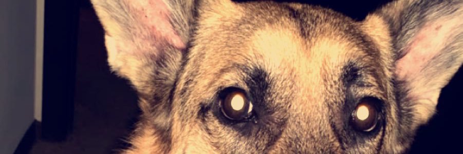 kaihigg090's profile banner image