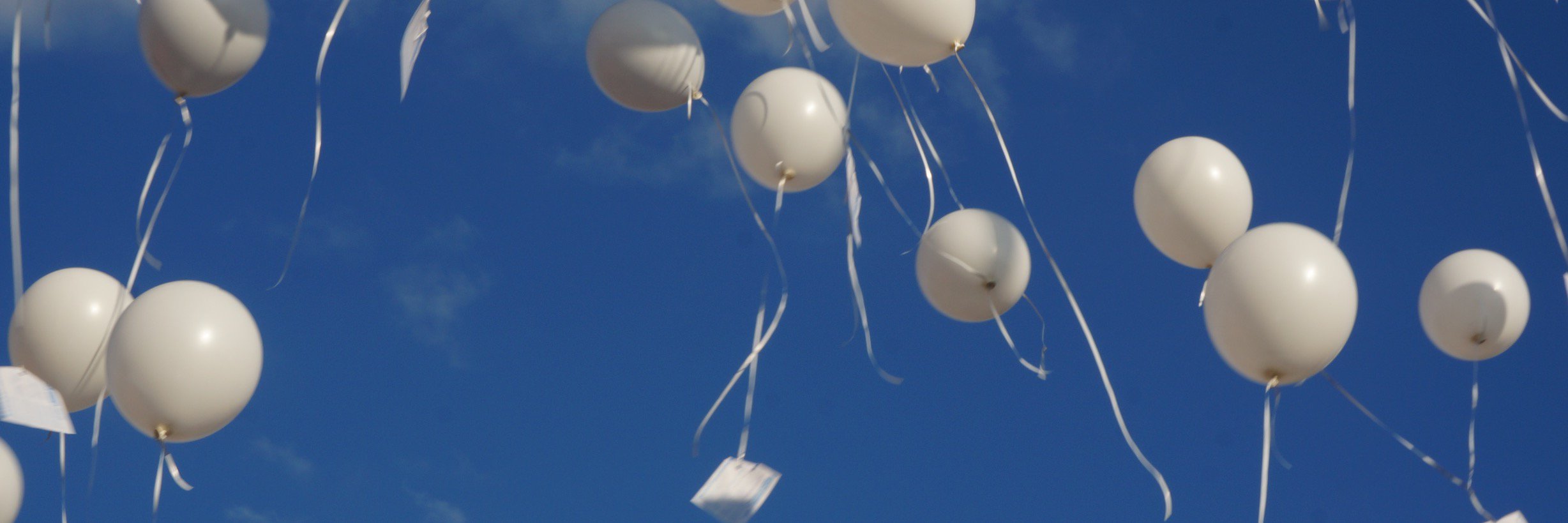 Elfi Vandenabeele banner