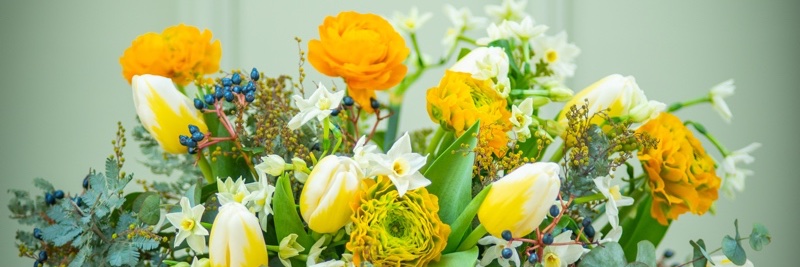 MoutanFlowers's profile banner image