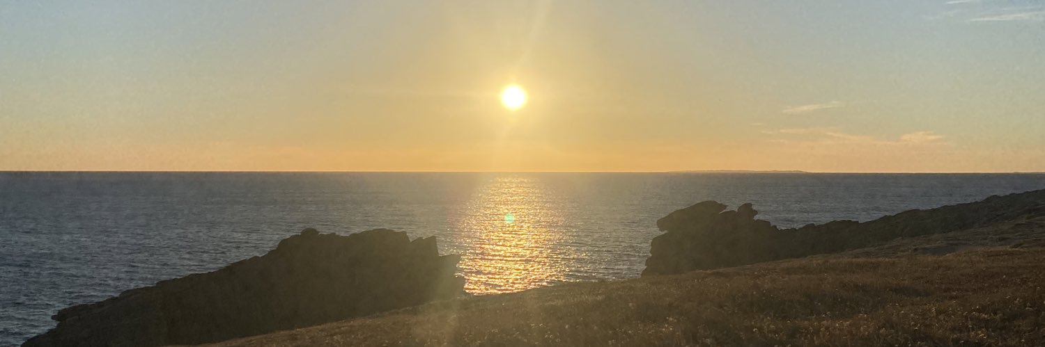 LeoneGuillou's profile banner image