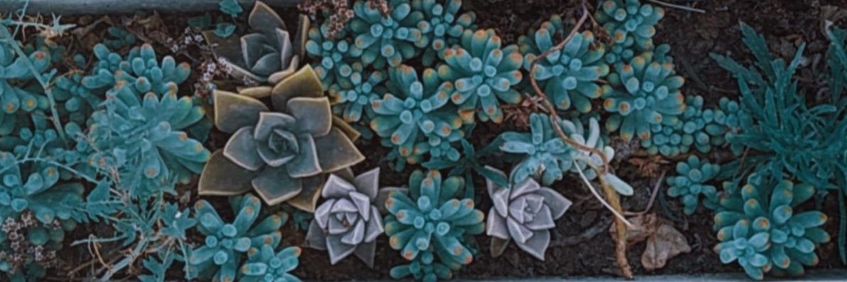 martururuu's profile banner image