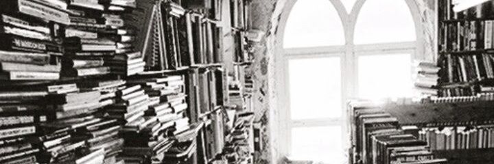 lara_assuncao's profile banner image