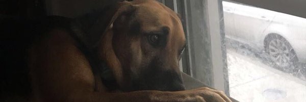 randyhaines22 Profile Banner
