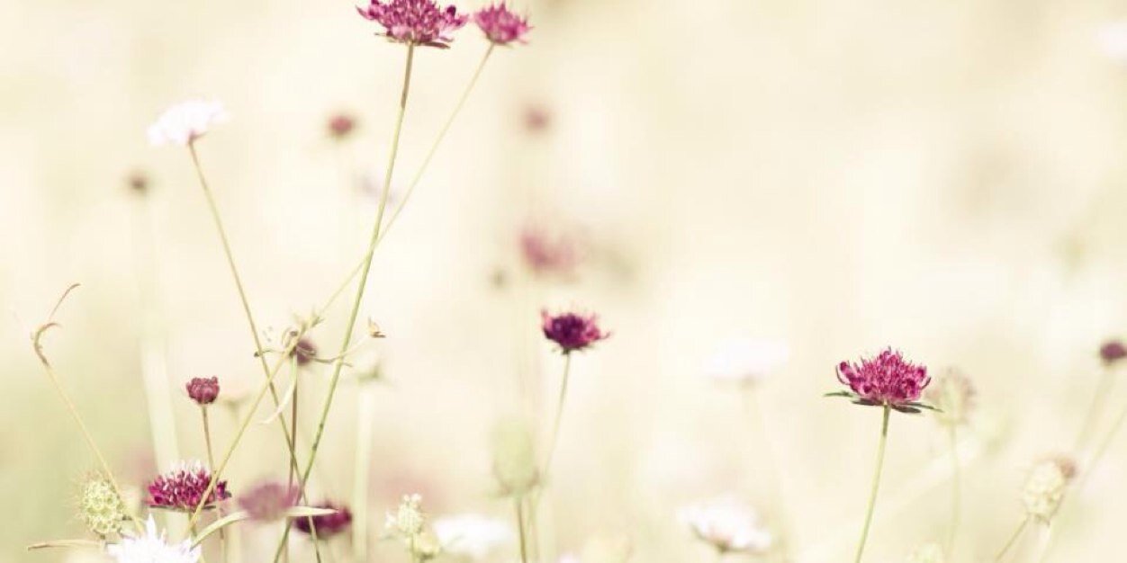 . banner