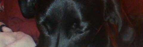 Ermy1204's profile banner image