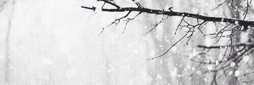 BergerPernille's profile banner image