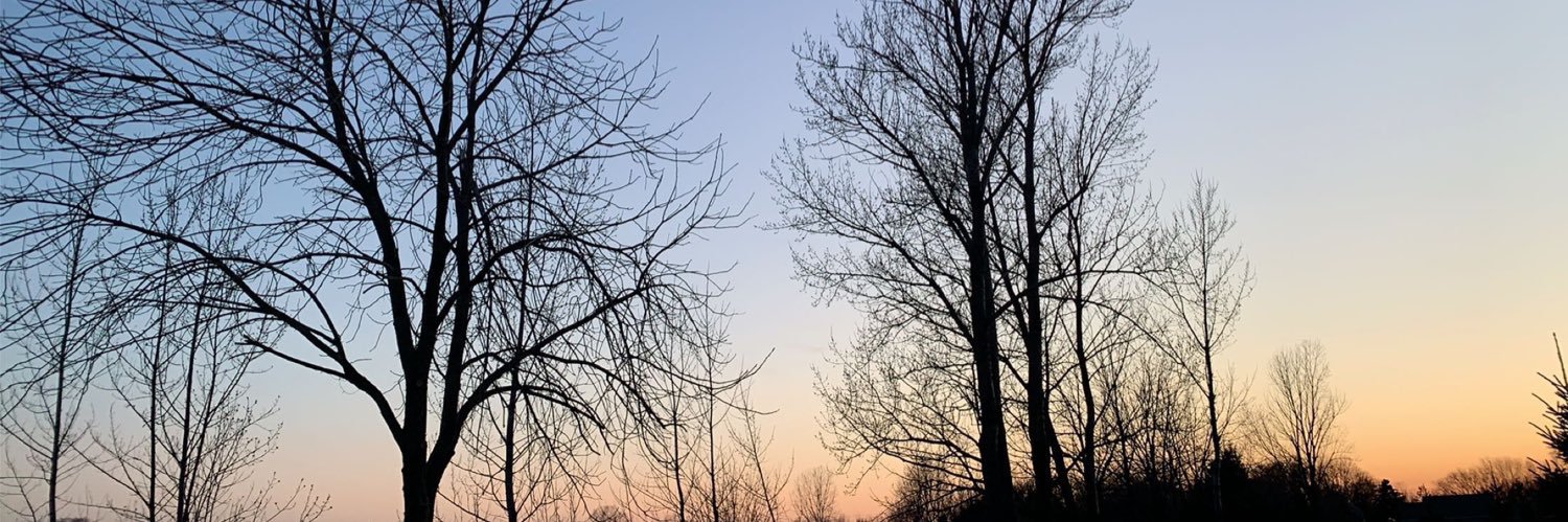 _oliviamillay_'s profile banner image