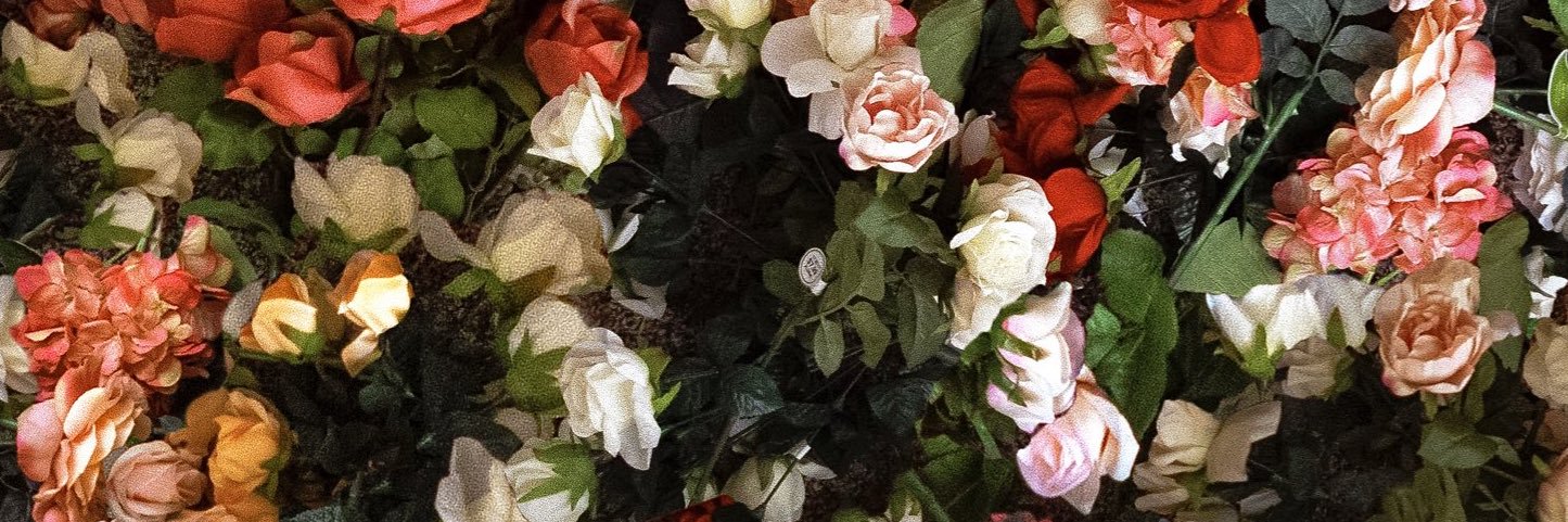 TheOperaRose's profile banner image