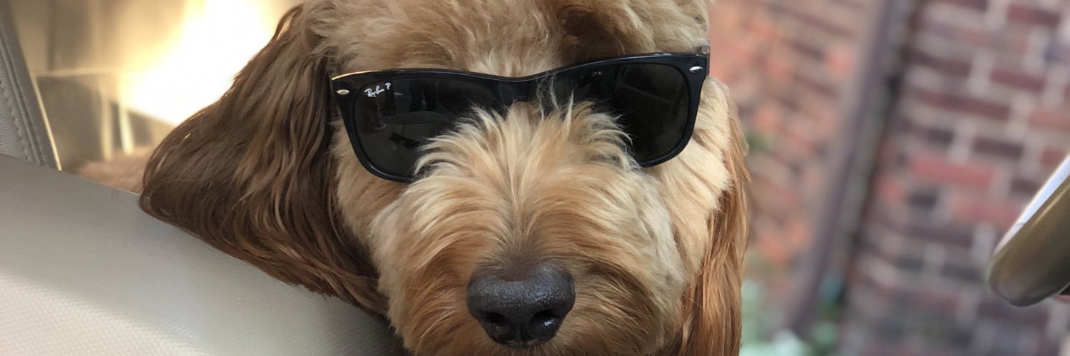 NotMikeBrooks's profile banner image