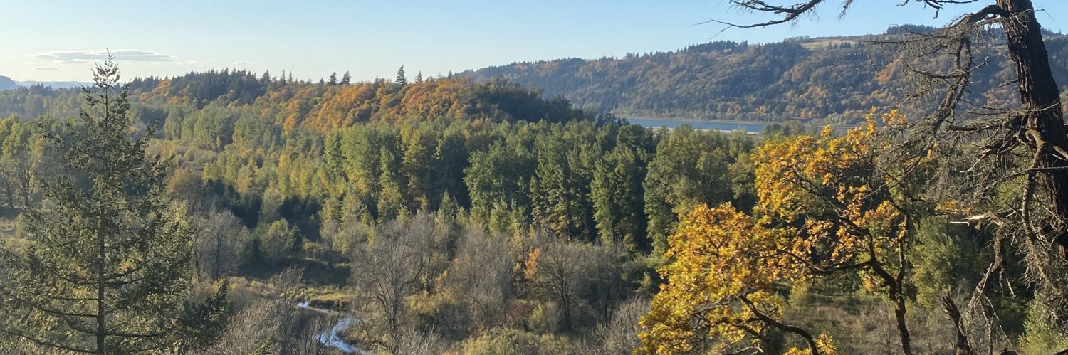 HannahGillpie's profile banner image