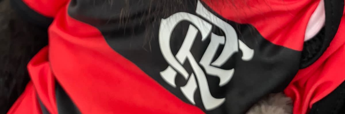 eusouzav's profile banner image