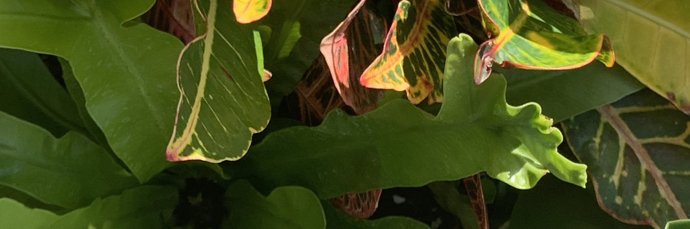 roccodaro's profile banner image