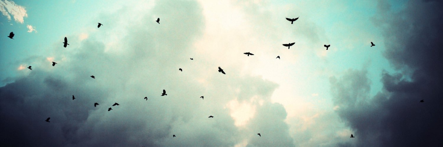 zerozero_c's profile banner image
