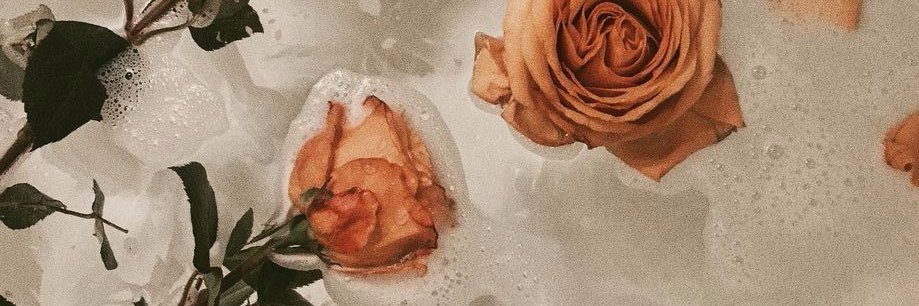HartockTara's profile banner image