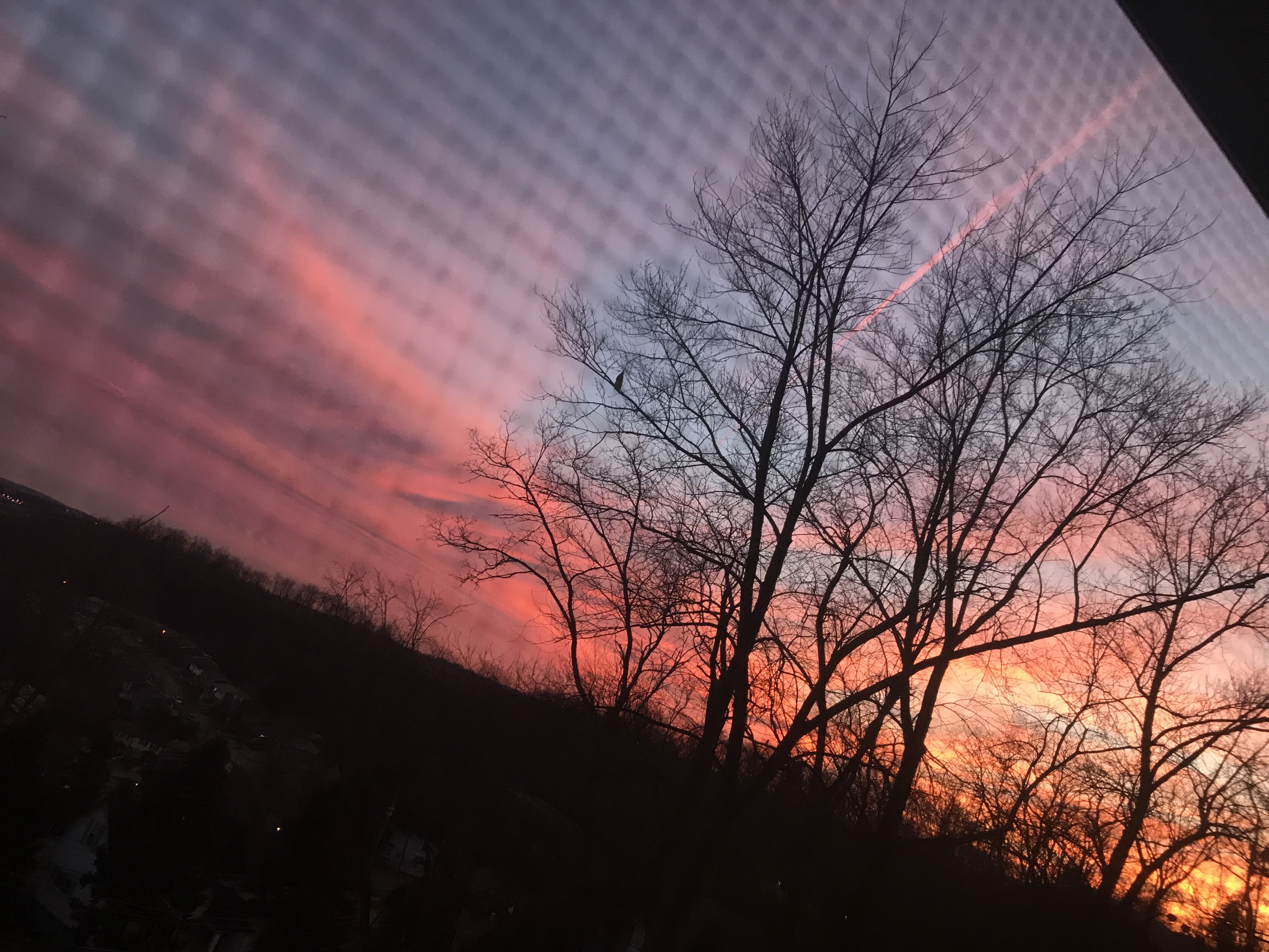 phi_loren's profile banner image