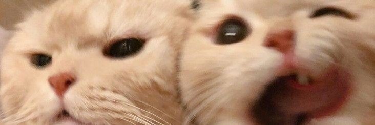 cloudyyeri1999's profile banner image