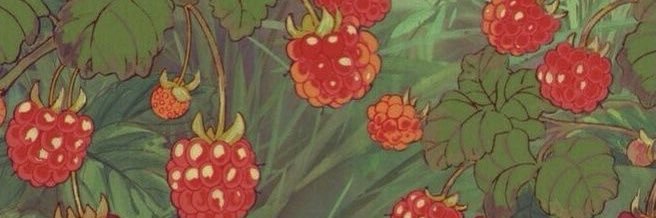 nutmeg227's profile banner image
