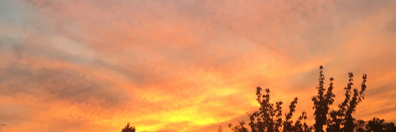 izprior's profile banner image