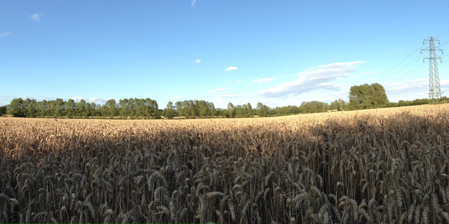 pmoss965's profile banner image