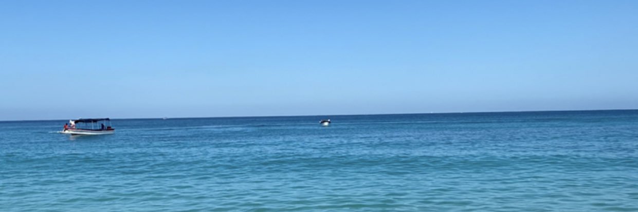 NathaliaArango's profile banner image