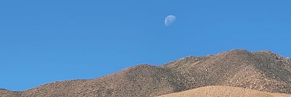 brujjx's profile banner image