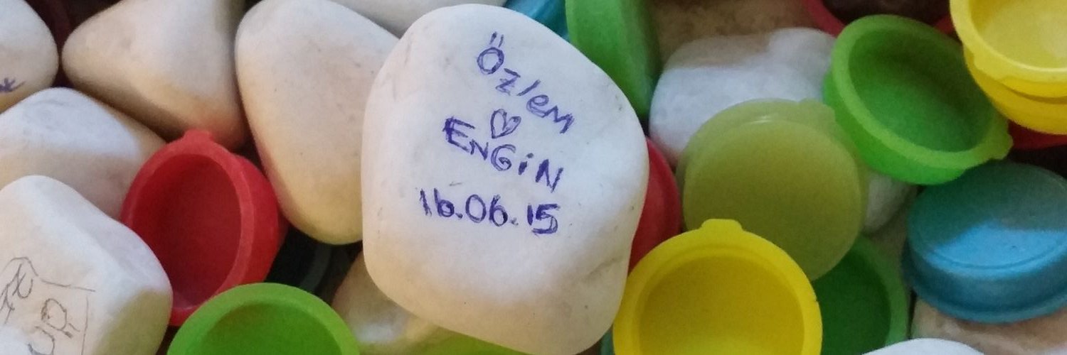 Engin Güneş banner