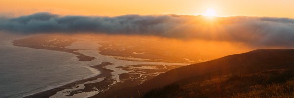 MorganLeeRogers Profile Banner