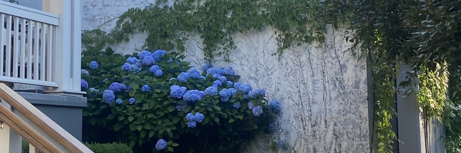 whateverwutever's profile banner image