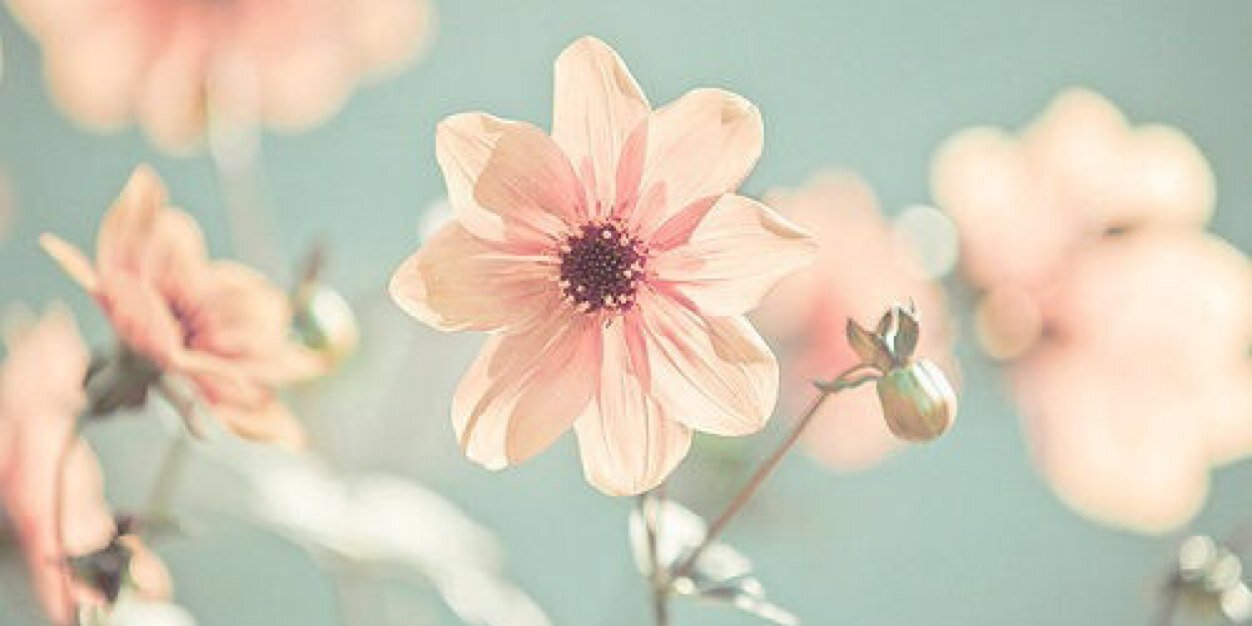 hannahmorlan's profile banner image