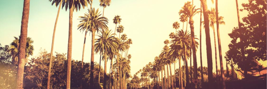 FlyLife_LA's profile banner image
