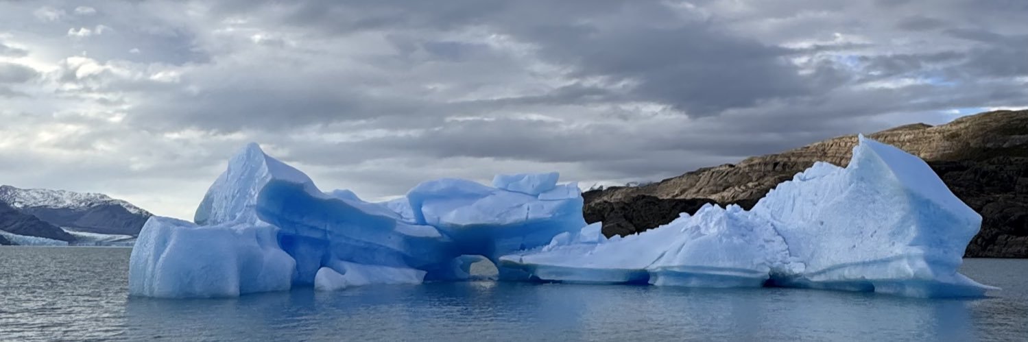María Teresa González banner