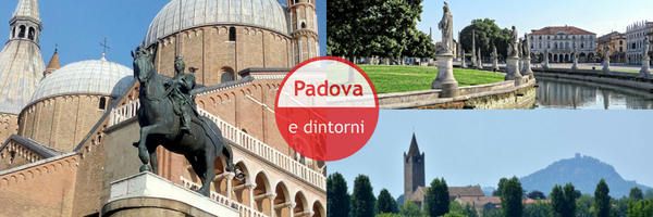 padovaedin Profile Banner